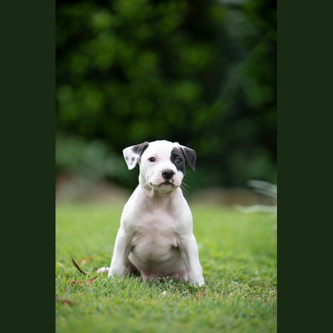 Photo of Rookie