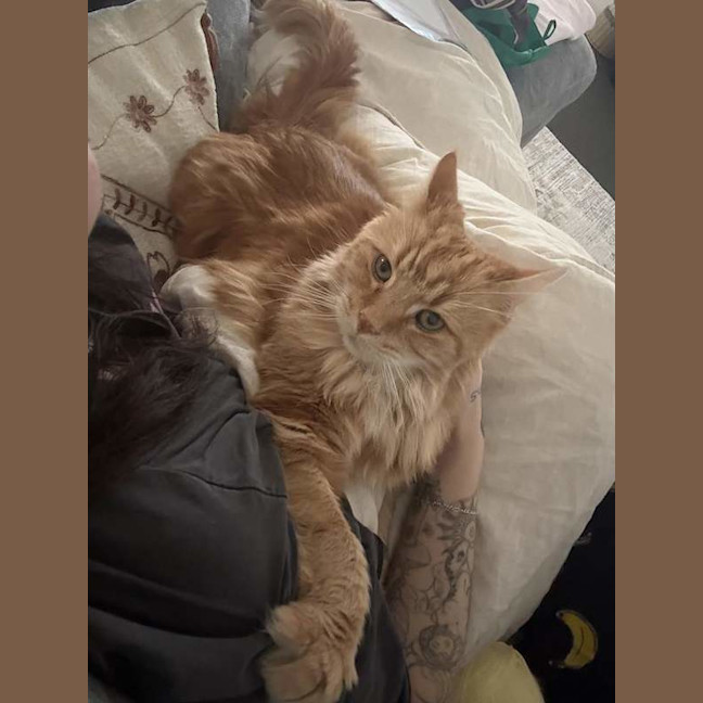Photo of Harley