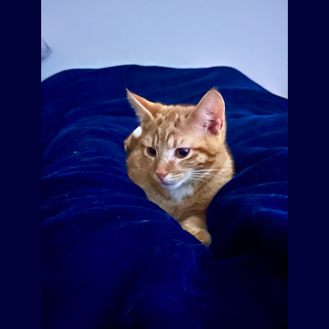 Photo of Edward