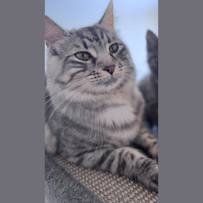 Photo of Sylvia