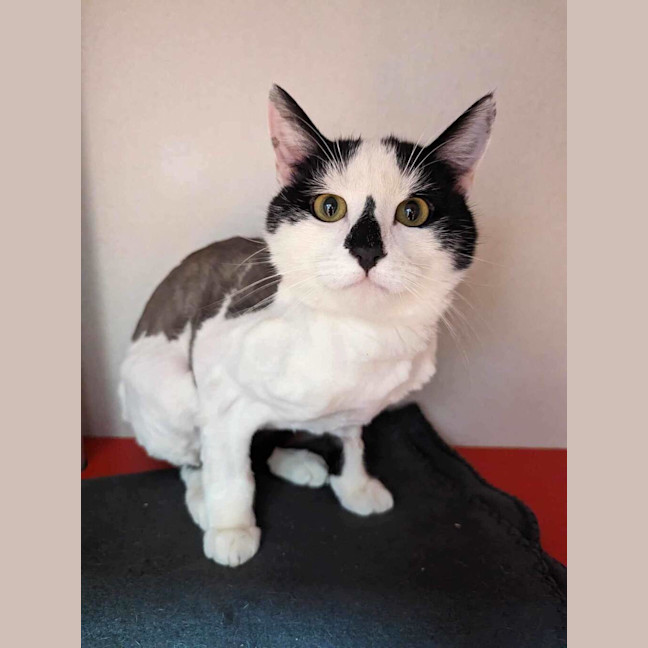 Photo of Mooey