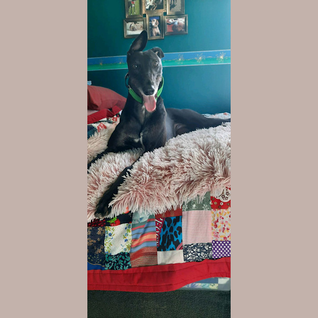 Photo of Peggy (Aka Lemon Rum)