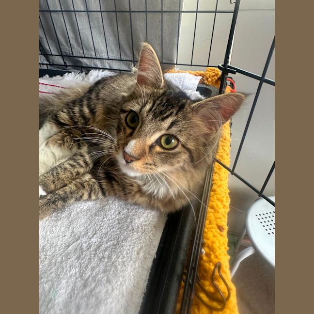 Photo of Salami & Pepperoni 