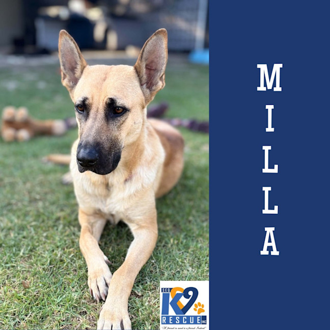 Photo of Milla