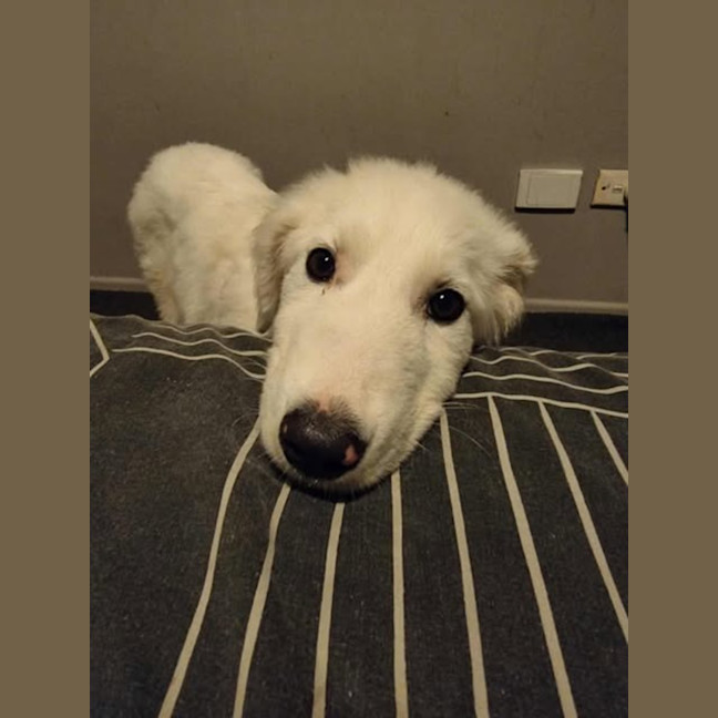 Photo of Kammy