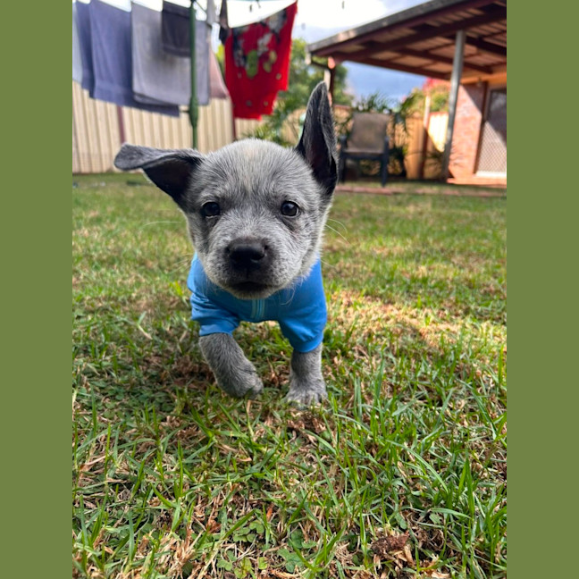 Photo of Luigi
