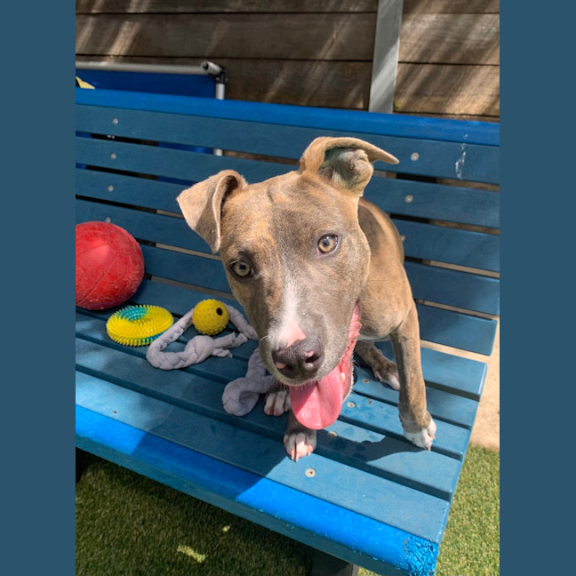 Photo of Kid (Now Tokyo)