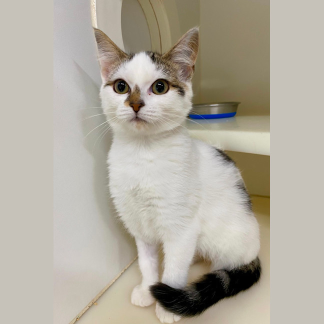 Photo of 🫧 Aya 6918 🫧