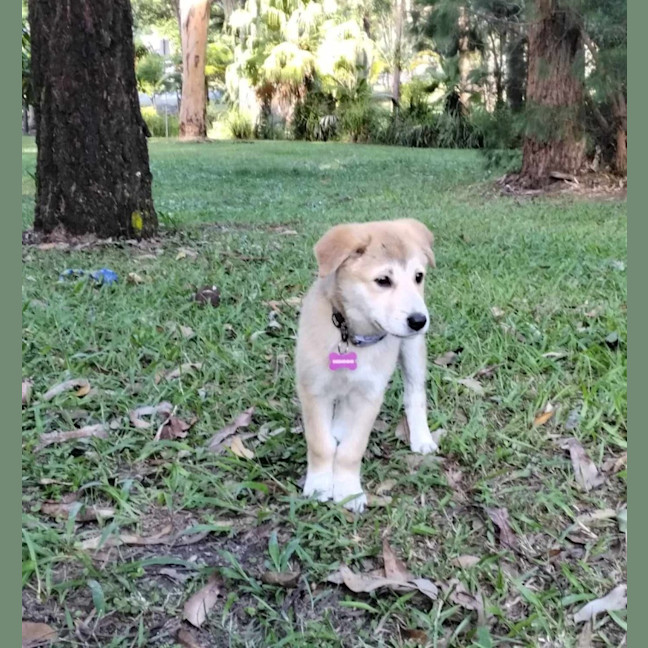 Photo of Jazz
