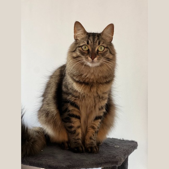 Photo of Lexi & Cara