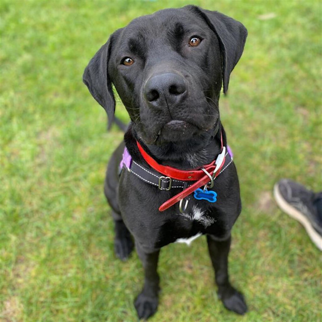 Photo of Bobbi