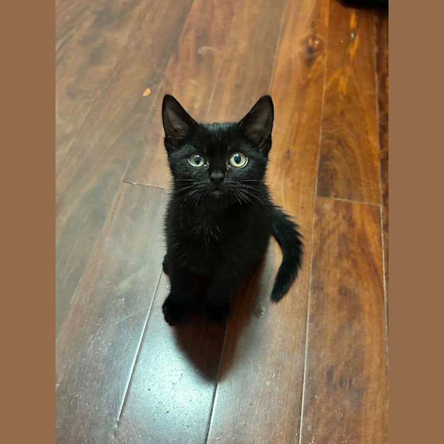 Photo of Sprout