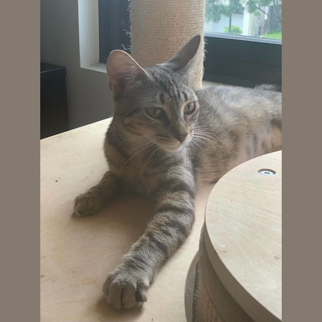 Photo of Ellie (Eleanor)
