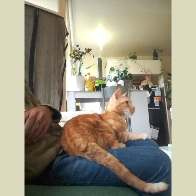 Photo of Baggins / Mr Big
