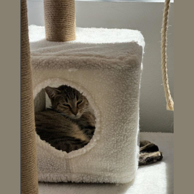 Photo of Thelma