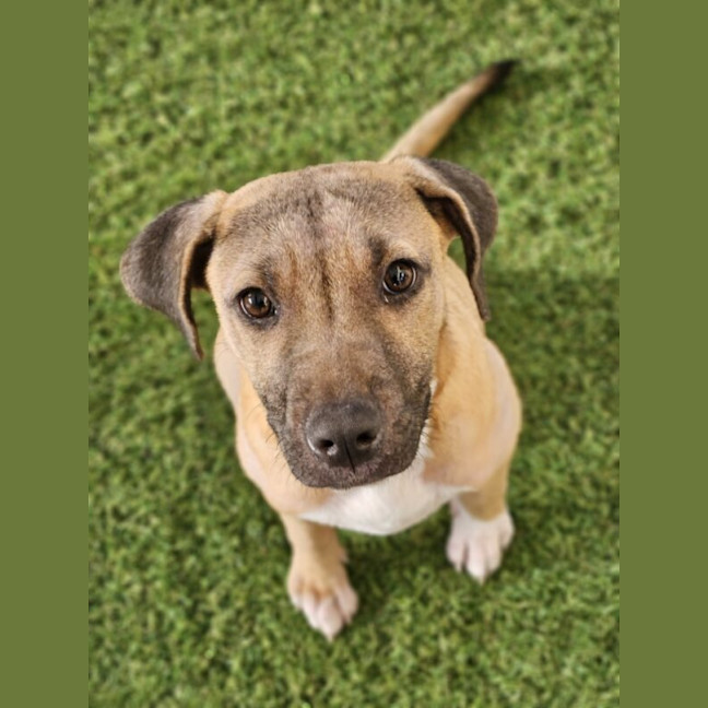 Photo of Deacon
