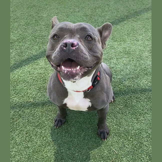 Photo of Jinx 