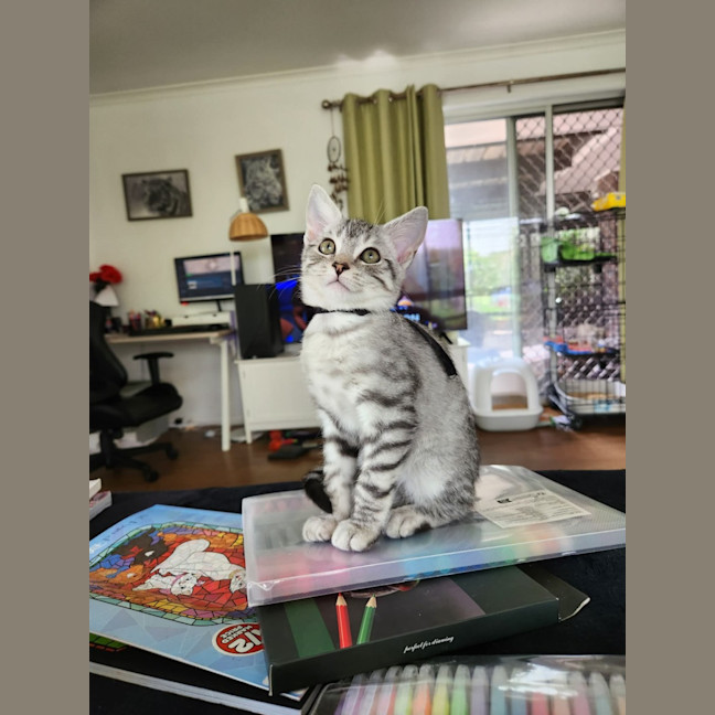 Photo of Jasper
