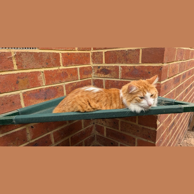 Photo of Jasper