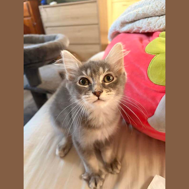 Photo of Ladybug