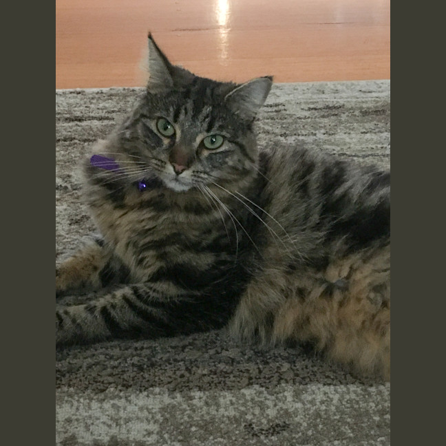 Photo of Hazel