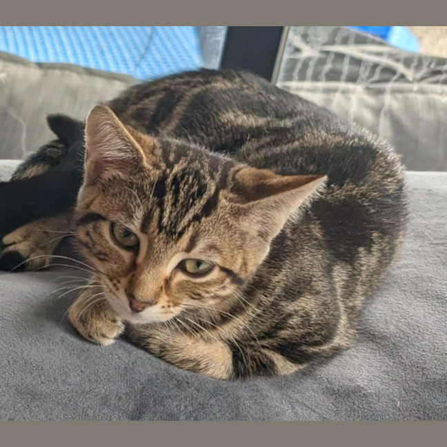 Photo of Noelle