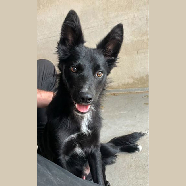 Photo of Cosmopolitan