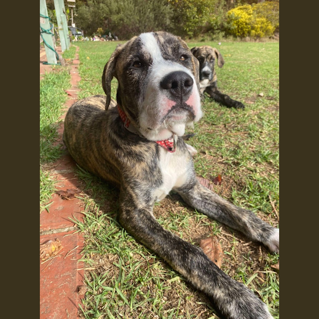 Photo of Ares