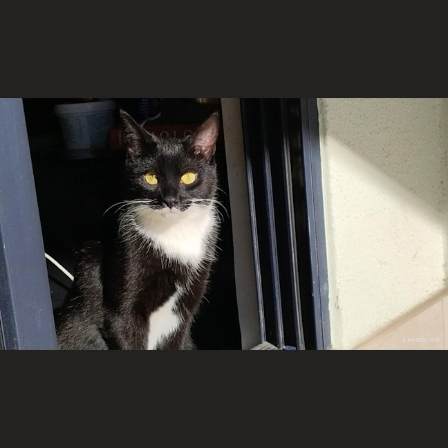 Photo of Limi