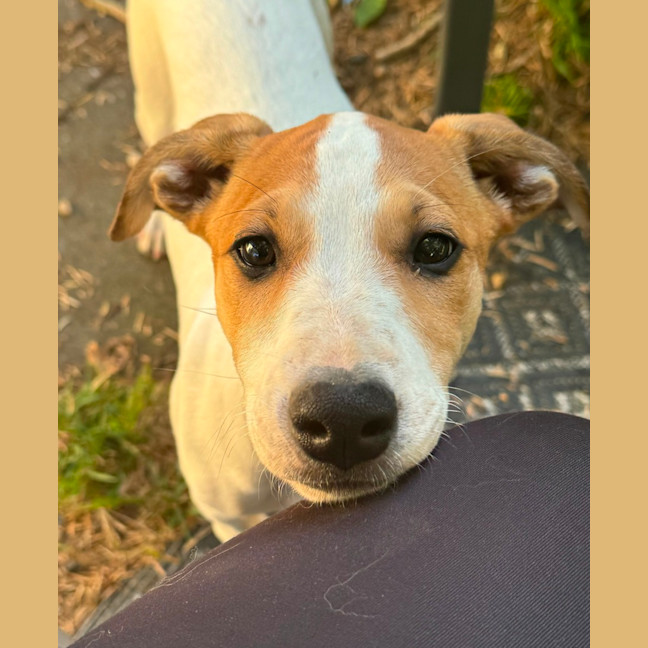 Photo of Quinnie