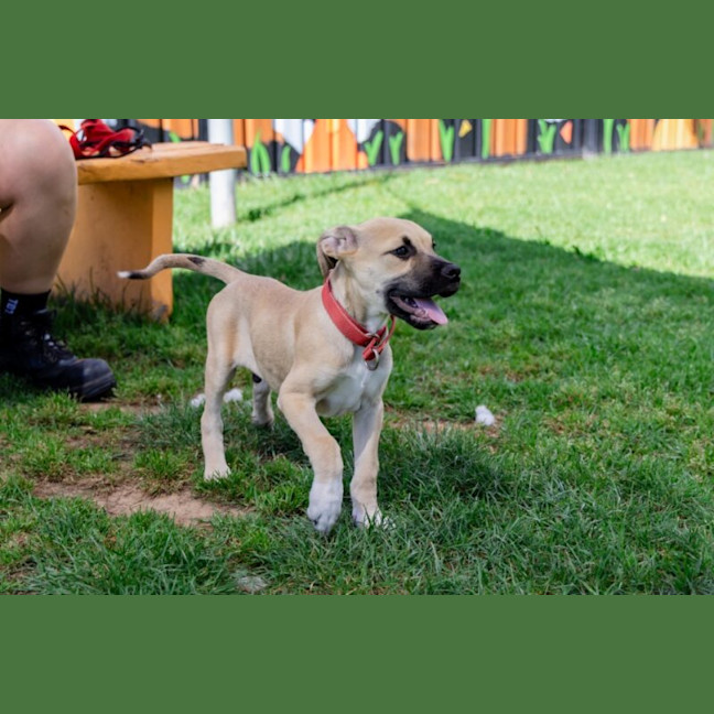 Photo of Charlie