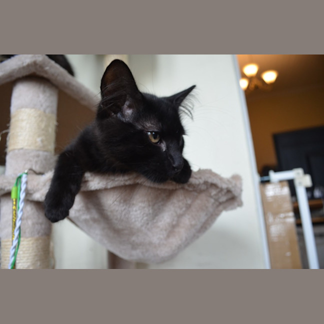 Photo of Sebastian