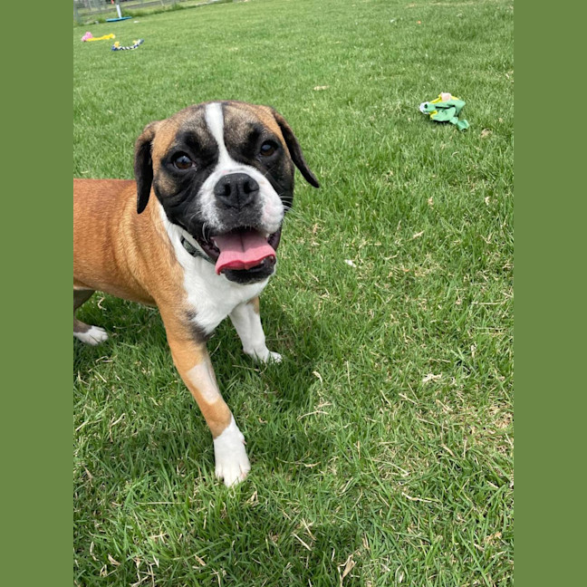 Photo of Thelma