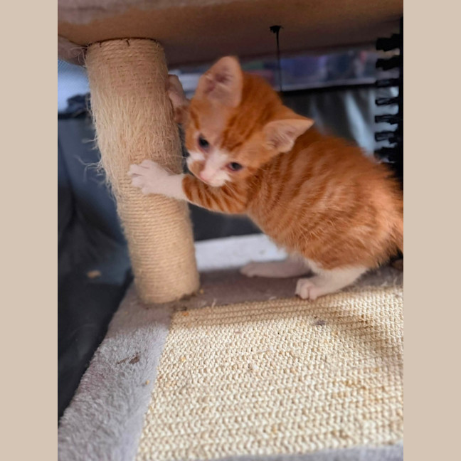 Photo of Percy