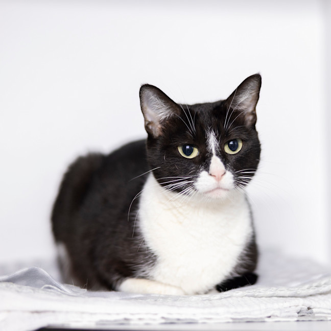 Photo of Lady Macbeth