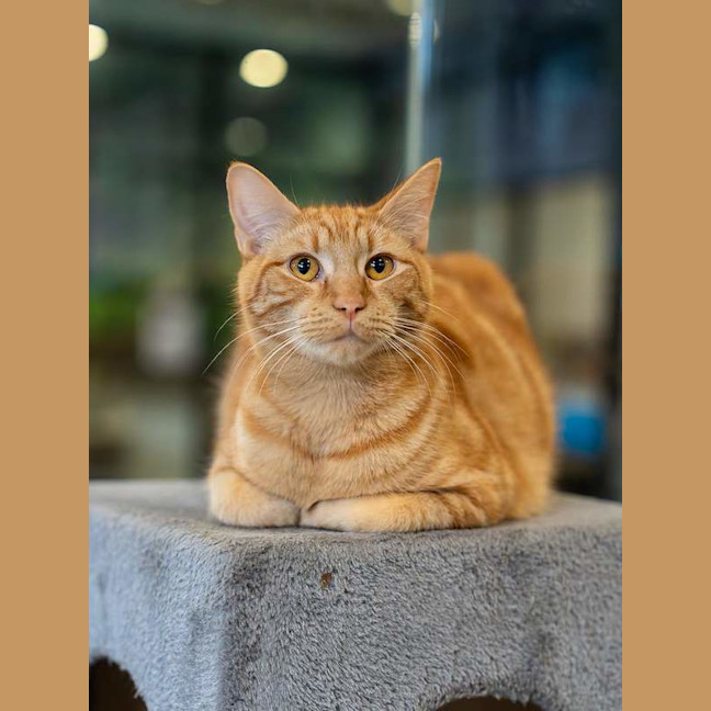 Photo of Maverick