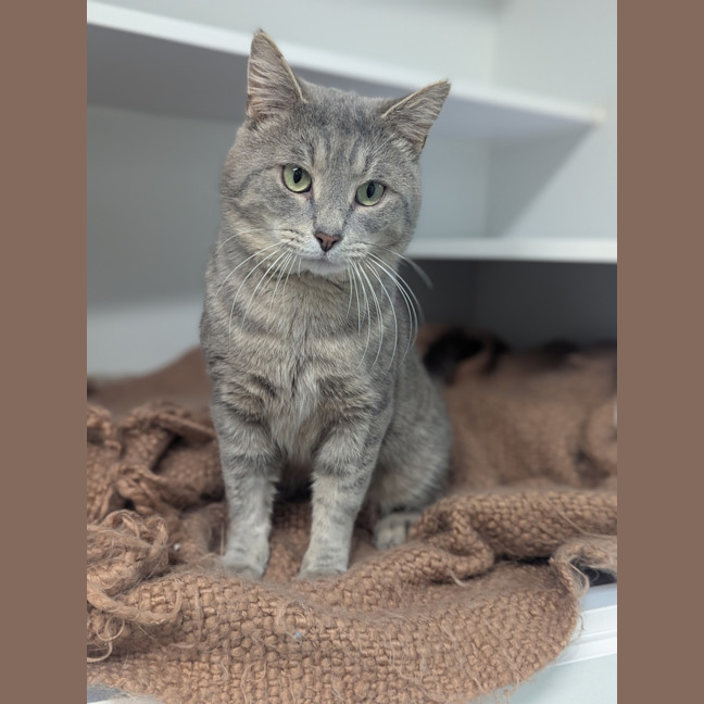 Photo of Storm 