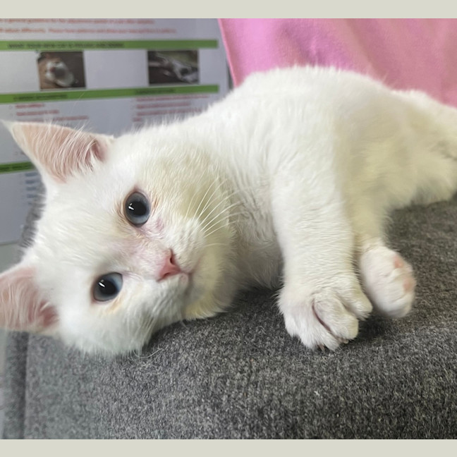 Photo of Aang