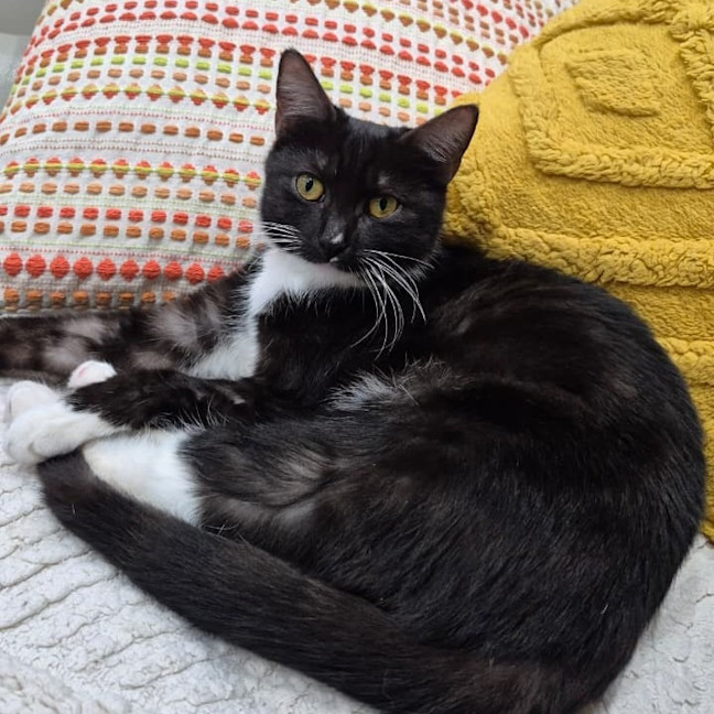 Photo of Yuki