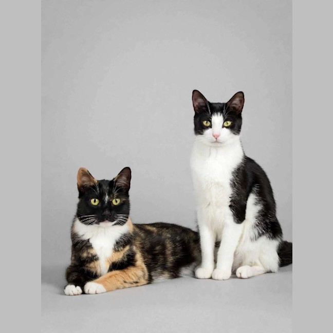 Photo of Molly & Nom Noms