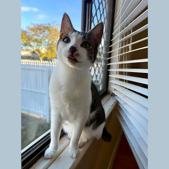 Photo of Esmeralda