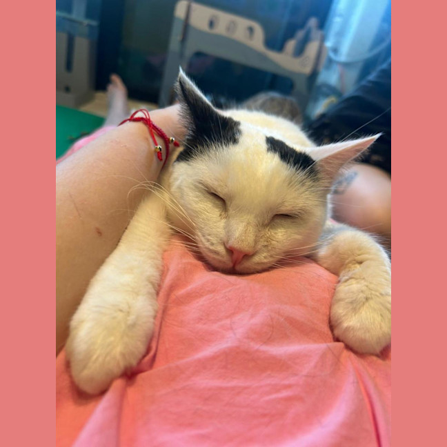 Photo of Galaxy Annihilator