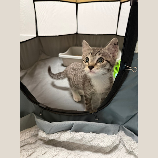 Photo of Buddy Hobbs