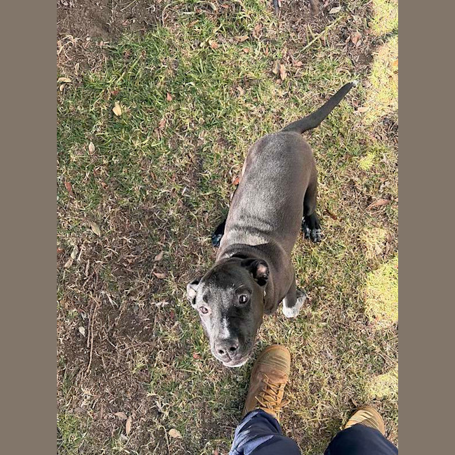 Photo of Rosco