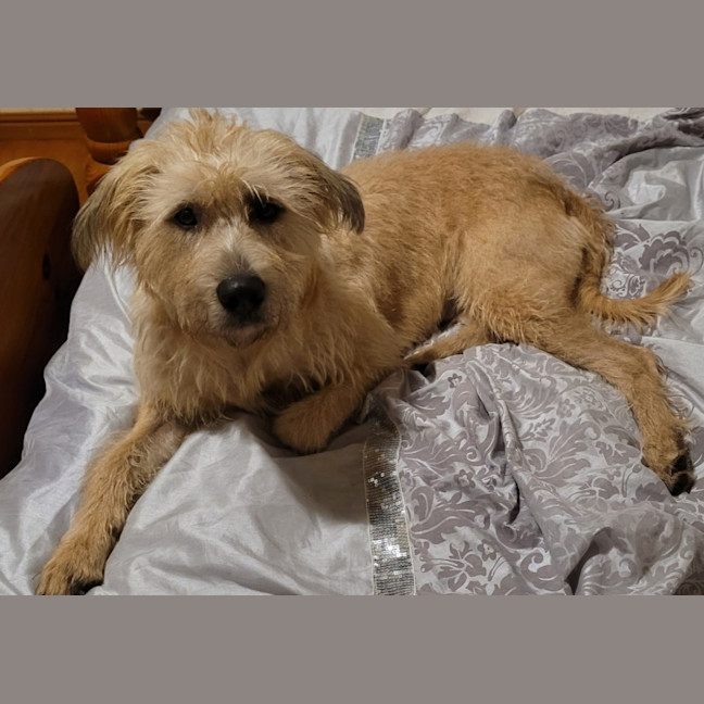 Photo of Lady