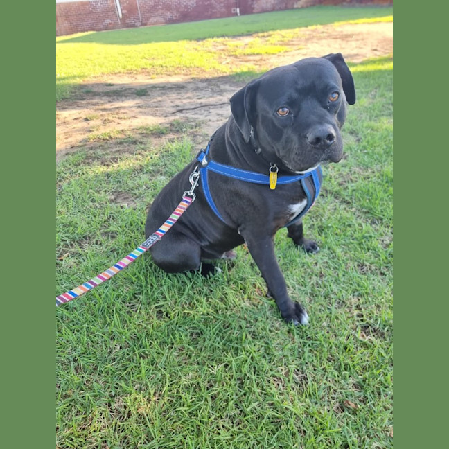 Photo of Tank