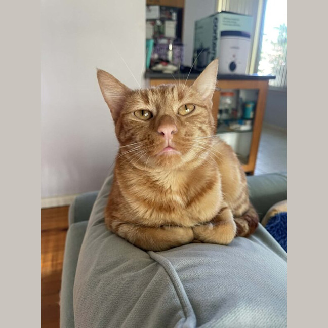 Photo of Dutchess
