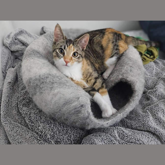 Photo of Sophie