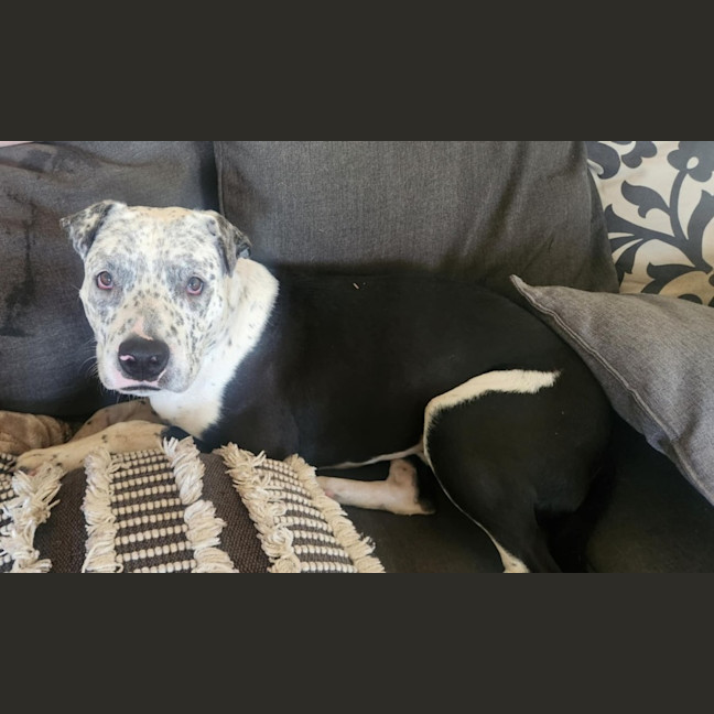 Photo of Rockefeller