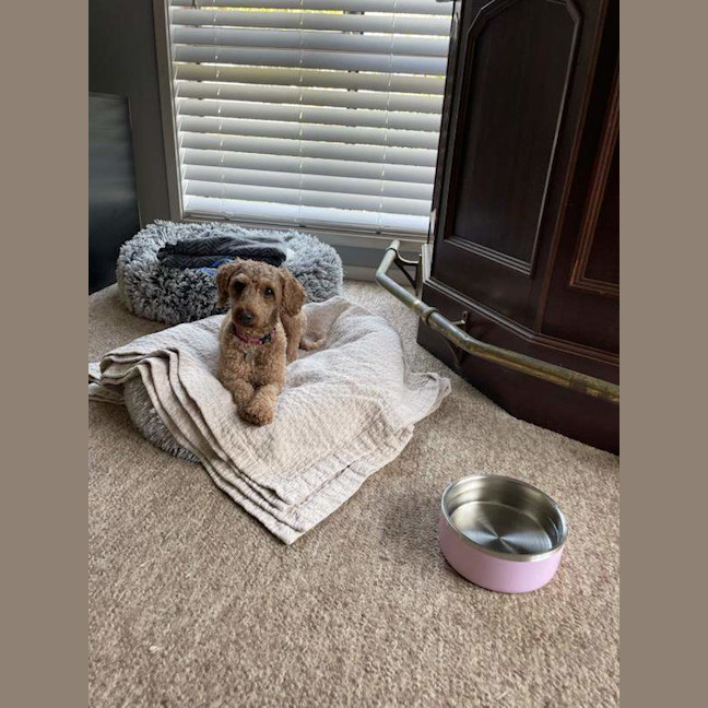 Photo of Peach
